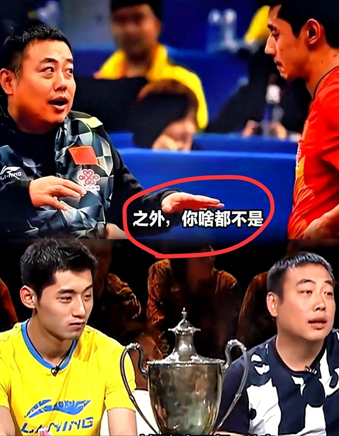 比利时乒乓球队绝地反击波兰乒乓球队，张继科统治全场的简单介绍