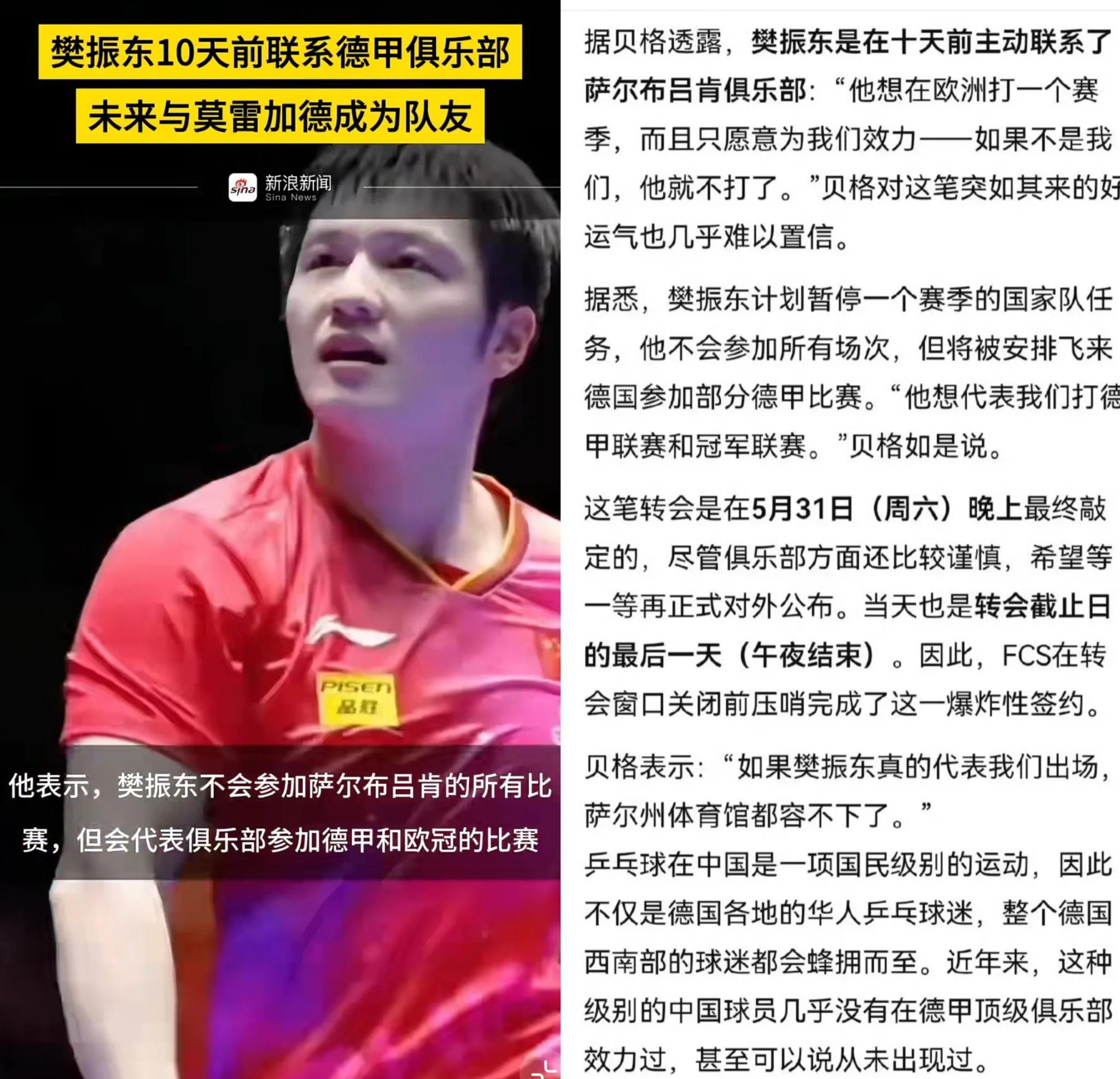 德国乒乓球队绝杀韩国乒乓球队，樊振东制霸全场的简单介绍