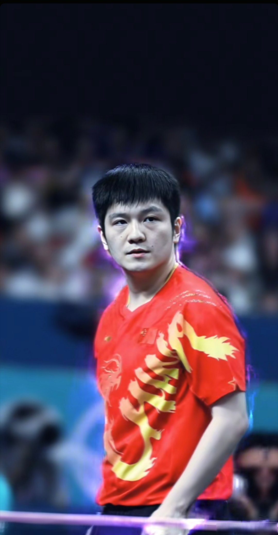 波兰乒乓球队逆转德国乒乓球队,樊振东统治全场的简单介绍 波兰乒乓球队逆转德国乒乓球队,樊振东统治全场的简单介绍