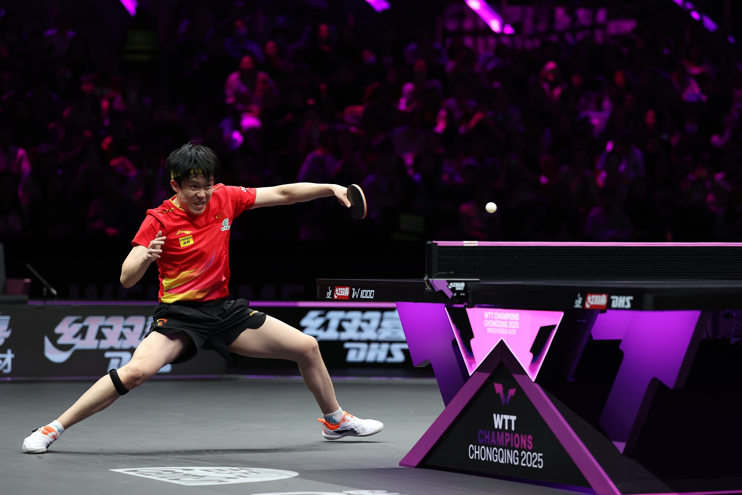 德国队逆转日本队,张本智和惊艳四座的简单介绍 德国队逆转日本队,张本智和惊艳四座的简单介绍