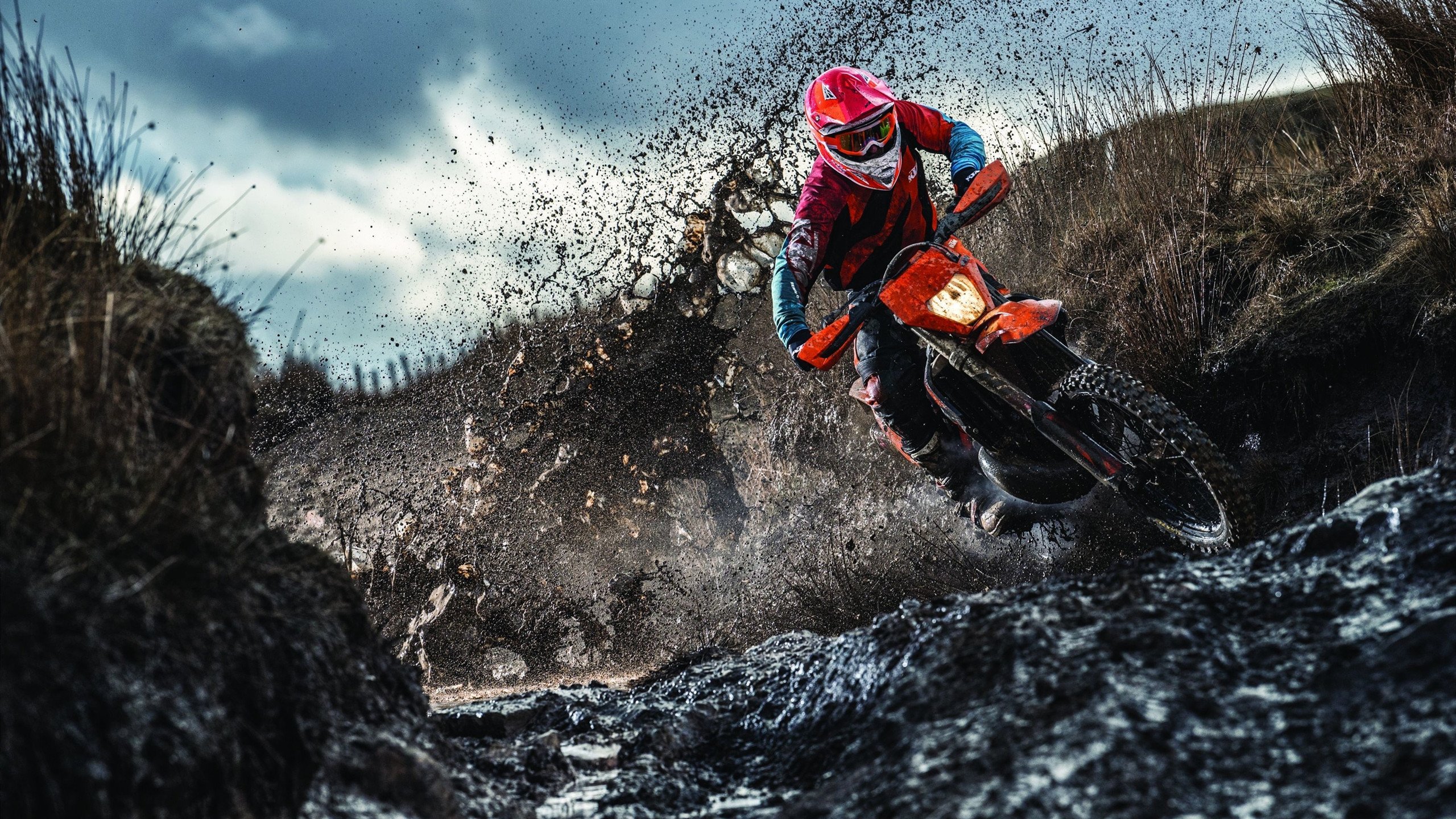 LOL英雄联盟投注平台-从赛道到球场，李刚仁的F1式接管如何驱动韩国击败哥伦比亚